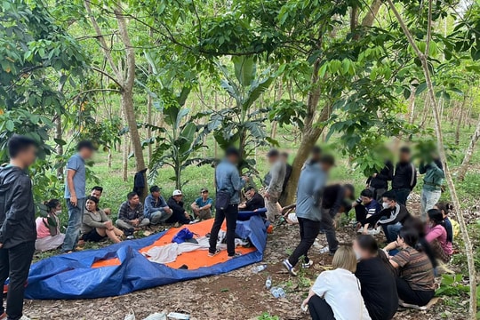 Công an Nghệ An triệt xóa 'ổ nhóm' đánh bạc trong rừng với nhiều đối tượng có tiền án