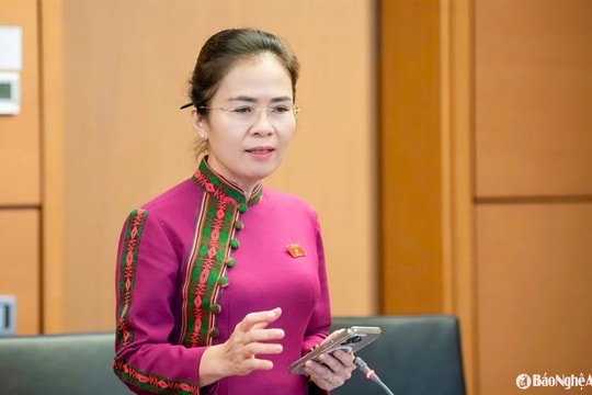 Đại biểu Quốc hội Võ Thị Minh Sinh thảo luận về tính chất 'trực thuộc' của các tổ chức thành viên MTTQ Việt Nam