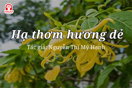 Tản văn hay: Hạ thơm hương dẻ
