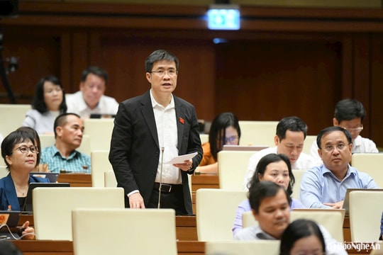 Đại biểu Quốc hội đoàn Nghệ An thảo luận về Luật Bảo vệ dữ liệu cá nhân