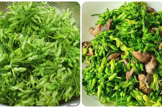 Loại hoa quen thuộc giúp bổ gan, tốt thận