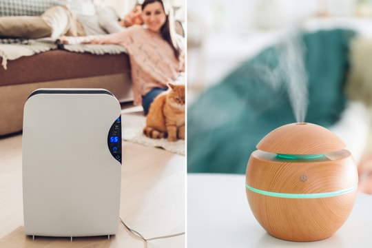 Có nên dùng máy tạo độ ẩm và máy lọc không khí trong cùng một phòng?