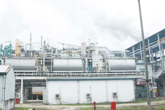 Đại hội đại biểu Đảng bộ tỉnh Nghệ An lần thứ XV (17 - 20/1/2001)