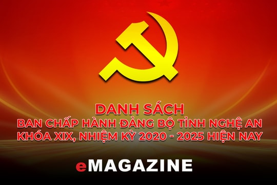 Danh sách Ban Chấp hành Đảng bộ tỉnh Nghệ An khóa XIX, nhiệm kỳ 2020-2025