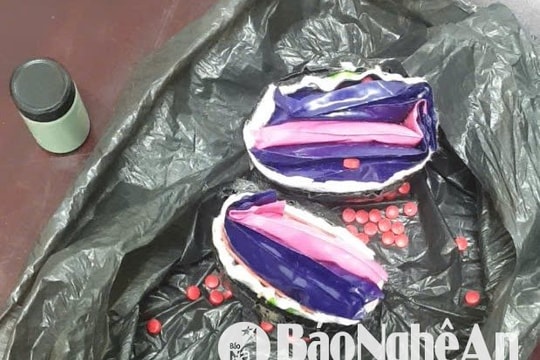 Triệt phá 2 chuyên án ma túy, thu giữ 1.600 viên ma túy tổng hợp