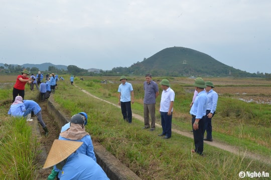 Công ty TNHH MTV Thủy lợi Nam đảm bảo tưới cho hơn 33.000 ha lúa