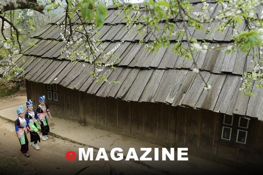 Trăm năm mái cổ sa mu