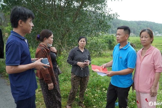 Huyện Nghi Lộc lập đoàn xác minh vấn đề đất đai vùng Bãi Hoang (Nghi Thiết)