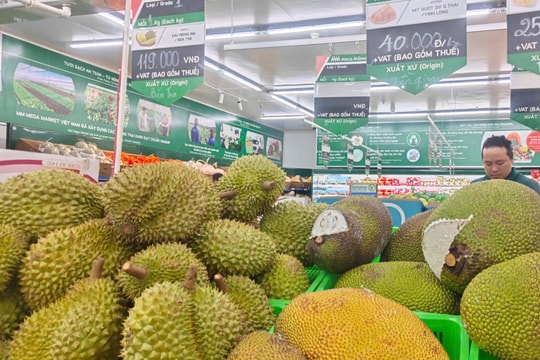 Giá sầu riêng hôm nay 28/5: Sầu riêng Thái Đông Nam Bộ tiếp đà tăng