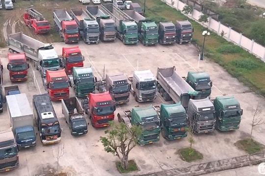 Hành vi bảo kê bị xử lý như thế nào?