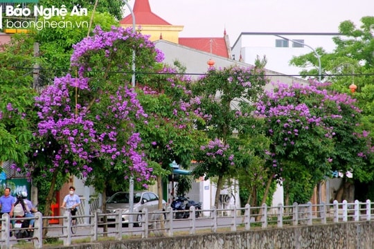 Thời tiết Nghệ An ngày 1/6: Nắng nóng, có nơi nắng nóng gay gắt