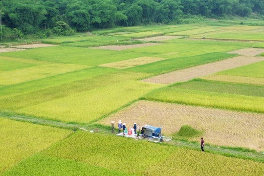 Thời tiết Nghệ An ngày 5/7: Ngày nắng gián đoạn, chiều và đêm có mưa rào