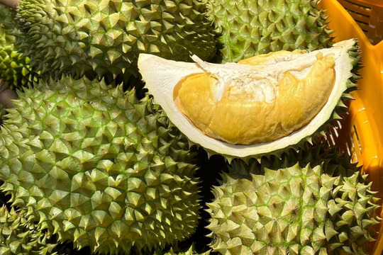 Giá sầu riêng 2/6: Thị trường bình ổn ở mức thấp