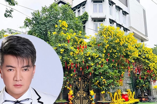 Đàm Vĩnh Hưng rao bán biệt thự triệu đô, tiết lộ lý do bất ngờ