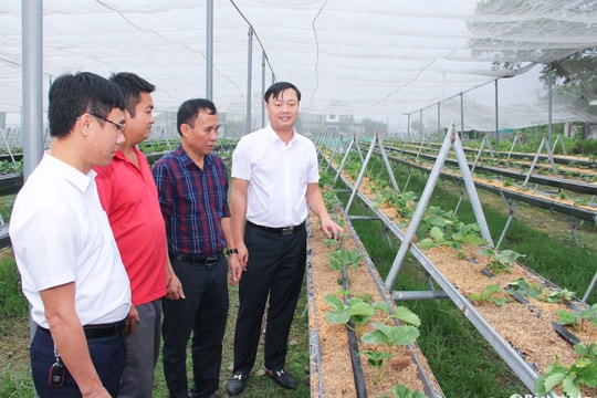 Hưng Nguyên với nhiều kết quả nổi bật về kinh tế - xã hội giai đoạn 2020 - 2025