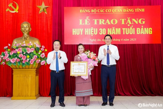 Phó Bí thư Tỉnh ủy Nghệ An Võ Thị Minh Sinh nhận Huy hiệu 30 năm tuổi Đảng