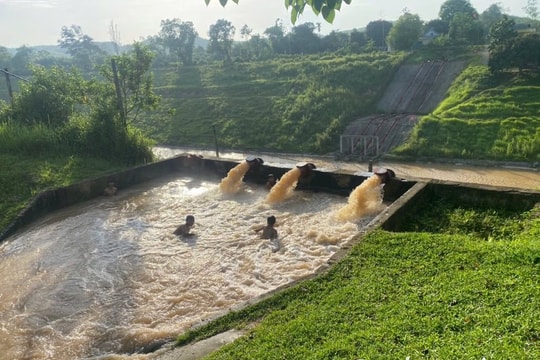 Nghệ An chủ động các giải pháp đảm bảo nước tưới vụ hè thu