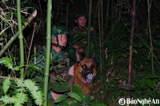 Không để Nghệ An trở thành địa bàn thẩm lậu, mua bán, trung chuyển ma túy