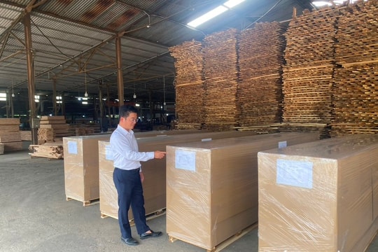 Công ty Lâm Nông nghiệp Sông Hiếu: Nâng tầm giá trị gỗ Việt trên thị trường quốc tế