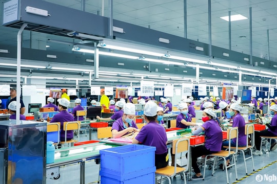 UBND tỉnh Nghệ An chỉ đạo kiểm tra, xử lý các vấn đề liên quan vụ việc công nhân vệ sinh bị nợ lương