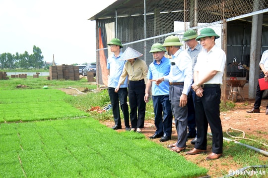 Phó Chủ tịch UBND tỉnh kiểm tra tình hình hoạt động của một số hợp tác xã