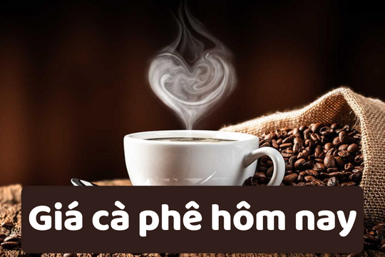 Giá cà phê hôm nay 11/6/2025: Tăng mạnh trở lại
