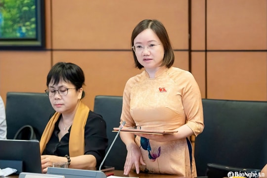 Đoàn đại biểu Quốc hội Nghệ An góp nhiều ý kiến xác đáng về sáp nhập tỉnh, thành lập Trung tâm Tài chính quốc tế