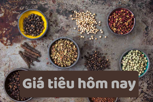 Giá tiêu hôm nay 15/6/2025: Tiếp tục giảm mạnh