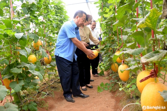 Để hợp tác xã phát triển bền vững