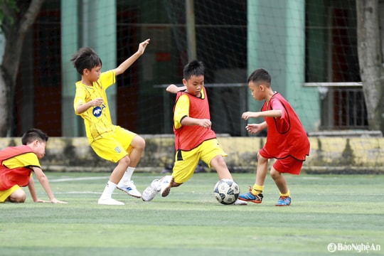 23 cầu thủ U9 vượt qua vòng sơ tuyển trong đợt tuyển sinh của Sông Lam Nghệ An