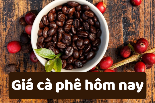 Giá cà phê hôm nay 17/6/2025: Tiếp tục giảm nhẹ