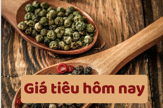 Giá tiêu hôm nay 17/6/2025: Giảm mạnh ở trong nước
