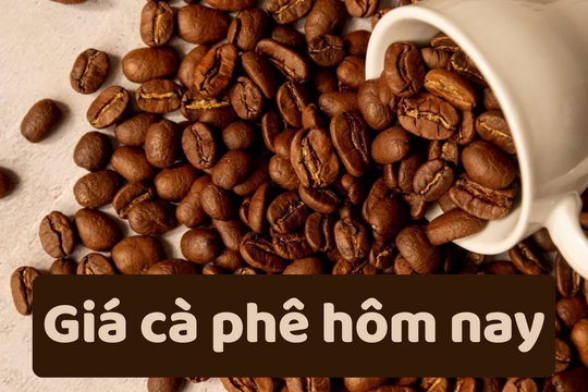 Giá cà phê hôm nay 18/6/2025: Giảm mạnh liên tiếp