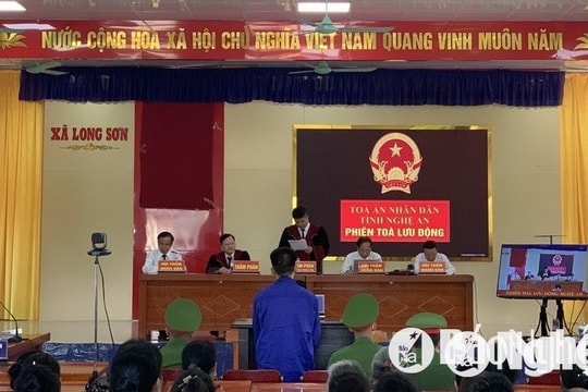 Trường hợp như thế nào được coi là “Đồng phạm” và “Che giấu tội phạm”?