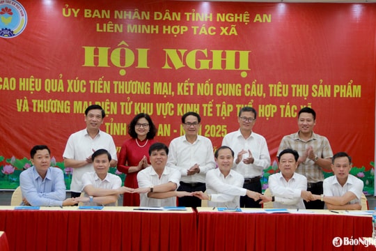 Hỗ trợ các hợp tác xã xây dựng chuỗi giá trị liên kết từ sản xuất - chế biến - tiêu thụ