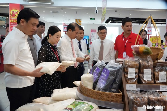 Nghệ An quảng bá sản phẩm OCOP bằng hình thức trực tiếp và trực tuyến