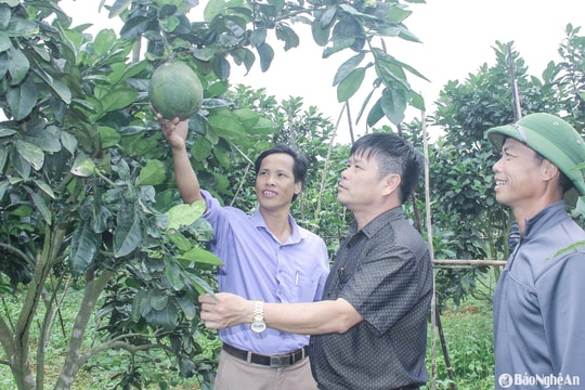 Xây dựng tổ chức cơ sở Đảng '4 tốt' ở Nghệ An