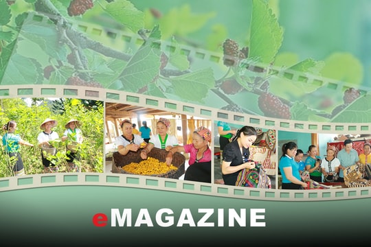 "Giữ lửa" nghề trồng dâu nuôi tằm ở vùng cao