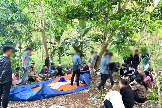 Nghệ An đấu tranh mạnh với nạn cờ bạc