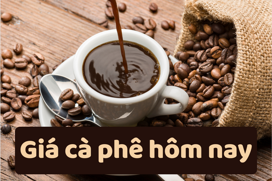 Giá cà phê hôm nay 25/6/2025: Tăng mạnh trở lại