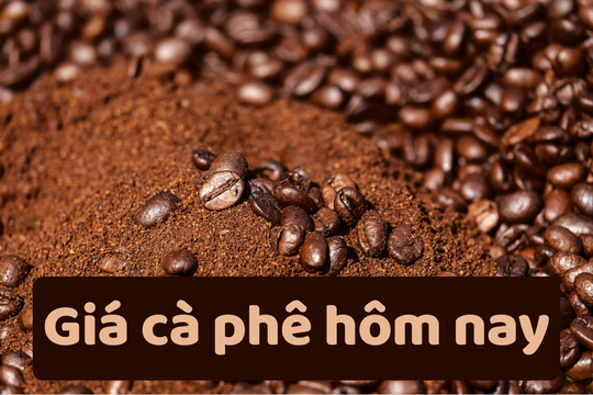 Giá cà phê hôm nay 26/6/2025: Quay đầu giảm sốc