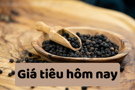 Giá tiêu hôm nay 26/6/2025: Bất ngờ tăng giá