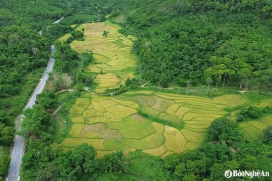 Thời tiết Nghệ An ngày 28/6: Ngày trời nắng, chiều và đêm có mưa rào