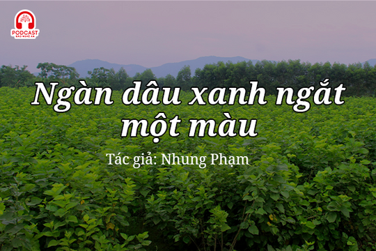 Tản văn hay: Ngàn dâu xanh ngắt một màu