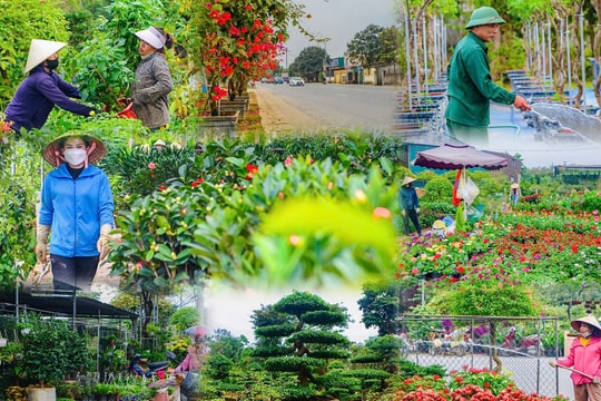 Nghi Ân - từ làng nghề đến trung tâm hoa cây cảnh đô thị
