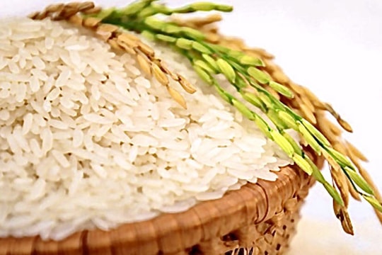 Đường dây sản xuất gạo giả quy mô 1.000 tấn/năm có những gì? Bê bối thực phẩm gây chấn động Trung Quốc