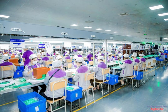 Nghệ An: Xuất nhập khẩu vượt 3,1 tỷ USD trong 6 tháng đầu năm 2025, có mặt hàng xuất khẩu tăng 'dựng đứng' 5,5 lần