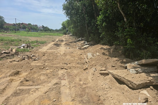 Đã tháo dỡ xong toàn bộ con đường bê tông dài 90 mét 'mọc' lên trên đất nông nghiệp chỉ sau 1 đêm ở Nghệ An