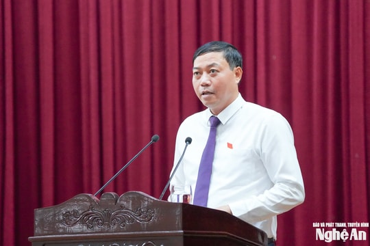 HĐND tỉnh Nghệ An đề xuất nghiên cứu tiếp nhận Trường THPT Hermann Gmeiner Vinh vào hệ thống trường công lập