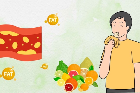 Mỡ máu cao: Ăn gì để tránh đột quỵ và sống khỏe?